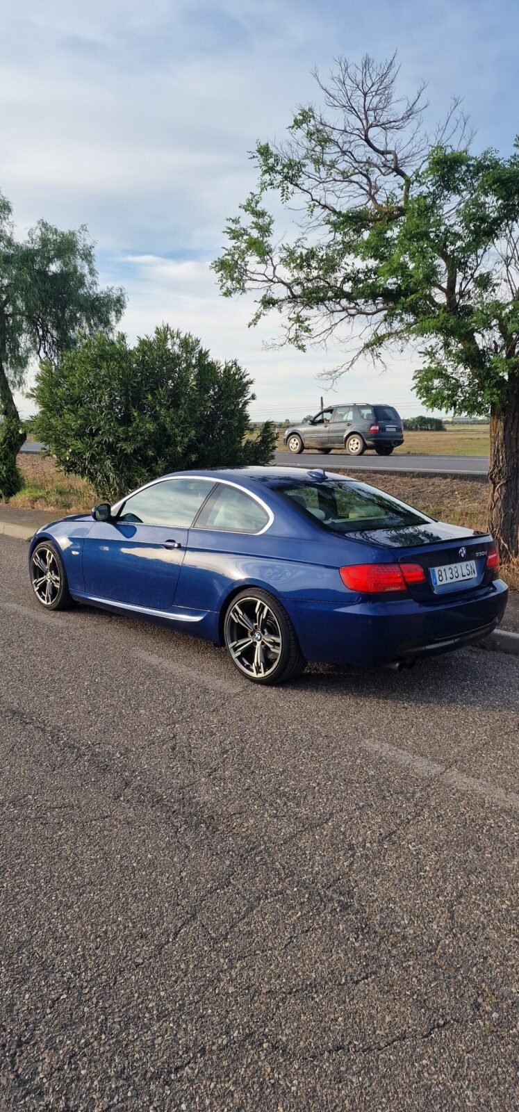 BMW Serie 3 330d xDrive 