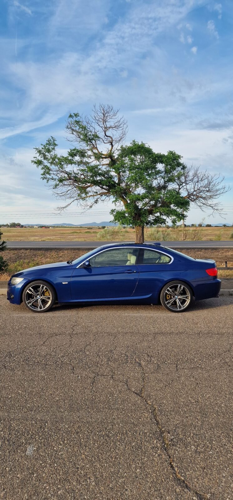 BMW Serie 3 330d xDrive 