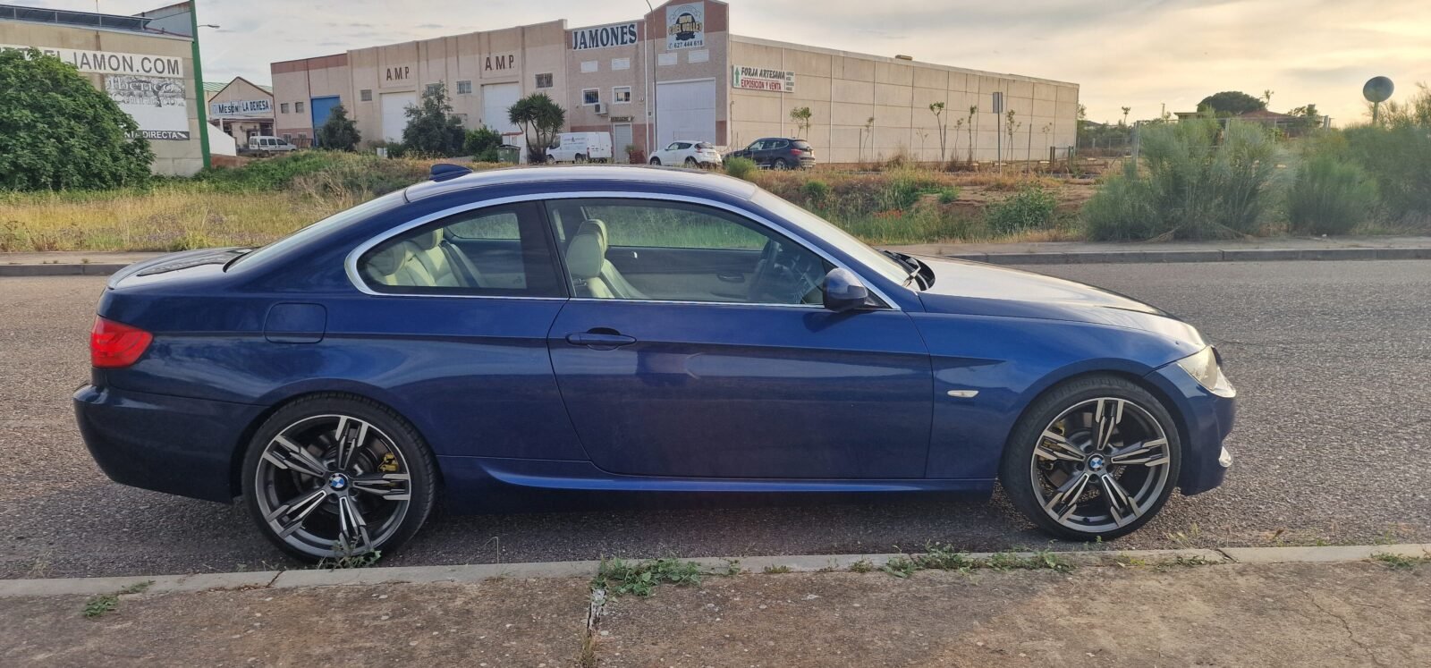BMW Serie 3 330d xDrive 