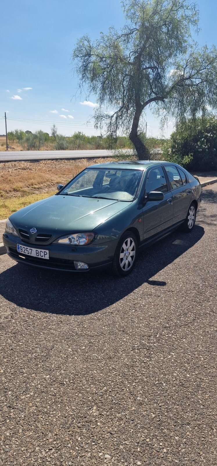 NISSAN Sport 