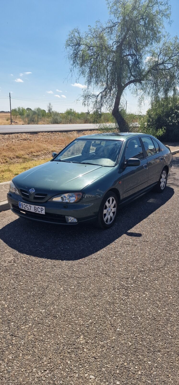 NISSAN Sport 