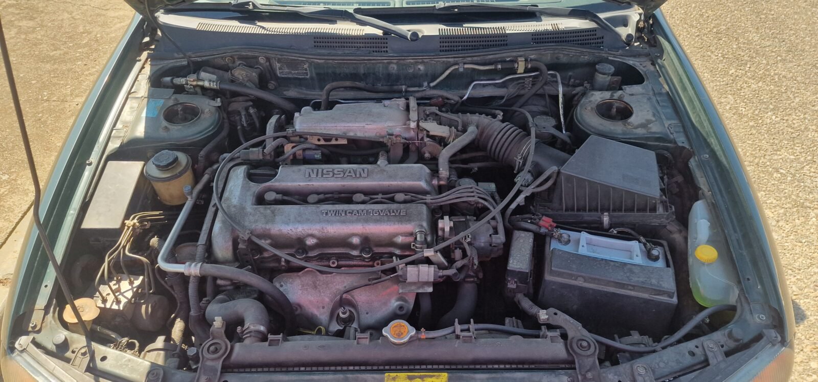 NISSAN Sport 